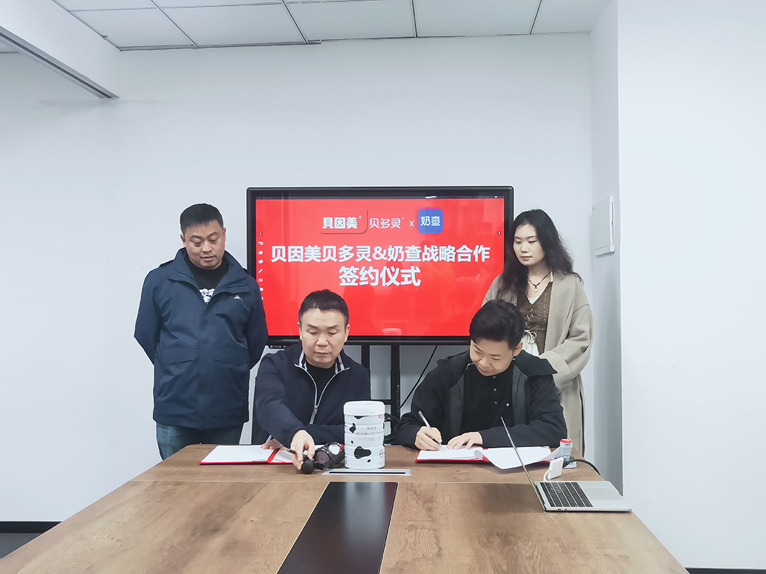 奶查与贝因美贝多灵达成战略合作