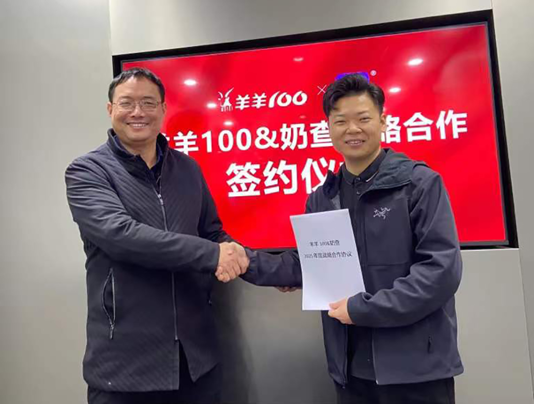 羊羊100与奶查达成战略合作