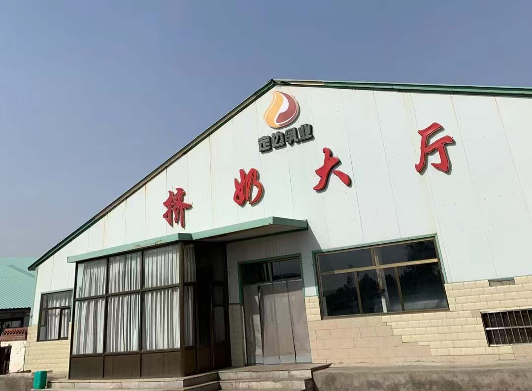 参观陕西定边乳业